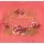 Cakewalk Shirt mit Rosen l Farbwahl 146/152 Coral